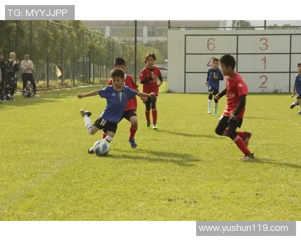 足球刘禹：从草根球员到职业联赛的奋斗历程与梦想追逐