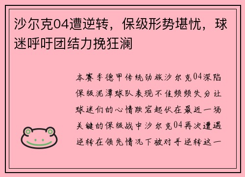 沙尔克04遭逆转，保级形势堪忧，球迷呼吁团结力挽狂澜