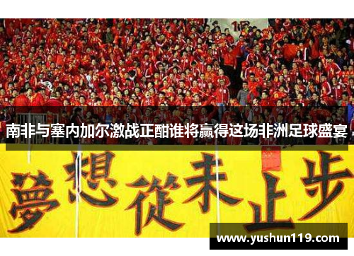南非与塞内加尔激战正酣谁将赢得这场非洲足球盛宴